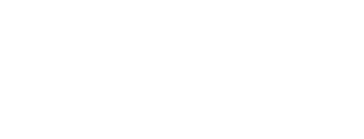 System D